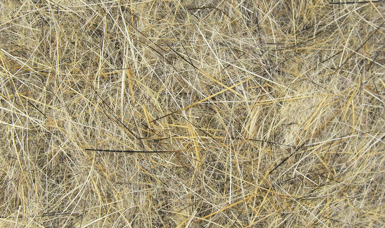 Hareline Dubbin Dispenser Works Great When Tying Nymphs,  Streamers, Panfish Flies, Trout Flies And Bass Flies