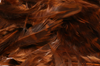 Shop pheasant feathers for fly tying online.