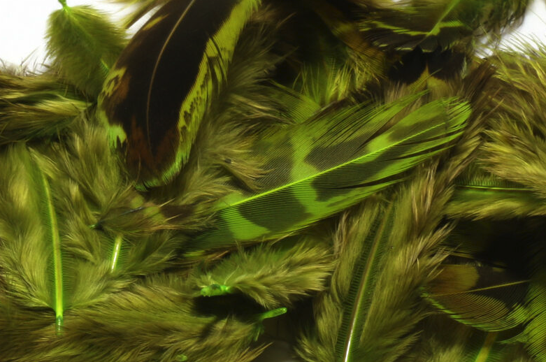 Soft hackle fly tying materials online.