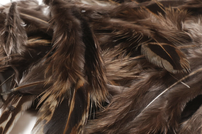 Order Hareline fly tying materials direct online.