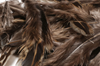 Order Hareline fly tying materials direct online.