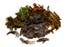 Buy Hareline Hen Pheasant Body Soft Hackle online at TheFlyFishers.com