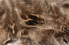 Shop Hareline Hen Pheasant Body Soft Hackle.