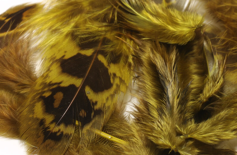 Buy fly tying feathers online for trout fly fishing nymph flies.