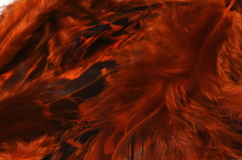 Fly tying soft hackles.