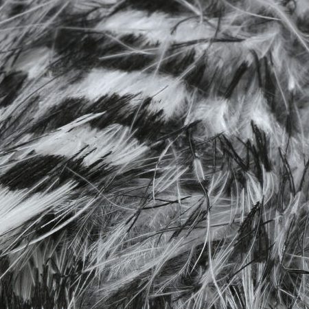 Hareline Jailhouse Marabou is used in many fly patterns for pike and musky