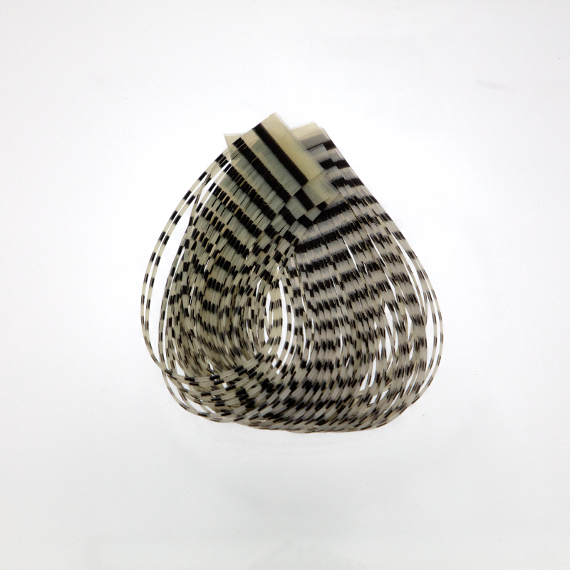 Hareline Double Barred Silicone Legs in Black Bone — durable fly tying silicone legs for hoppers, streamers, and bass bugs.