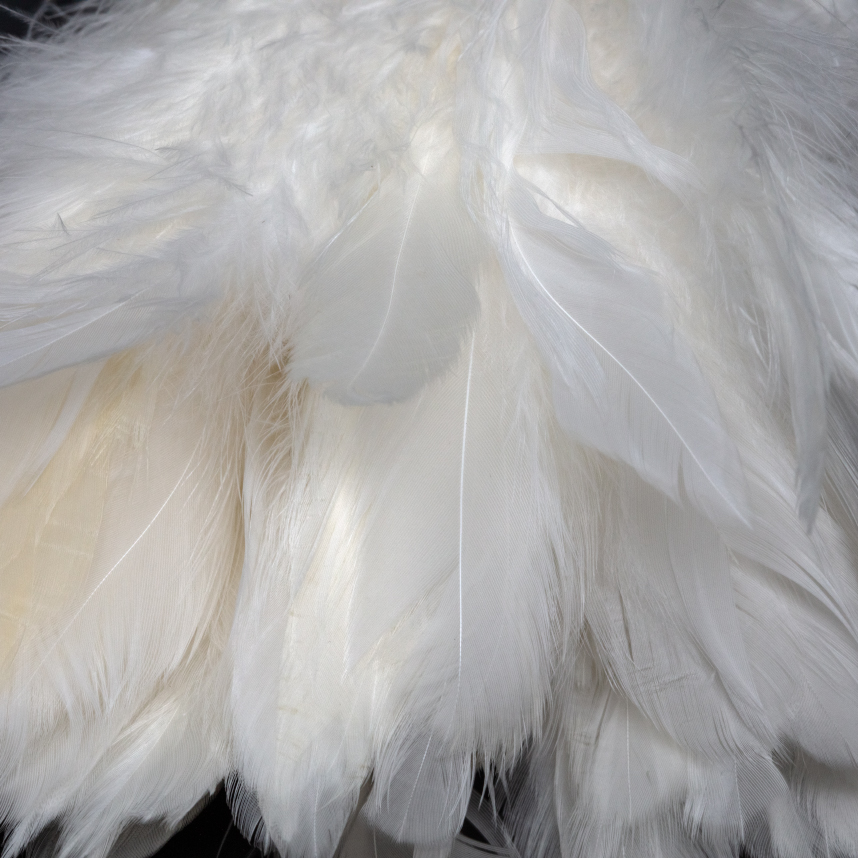 Perfectly sized Mini Gamechanger Schlappen feathers for standard and mini Feather Changer flies.