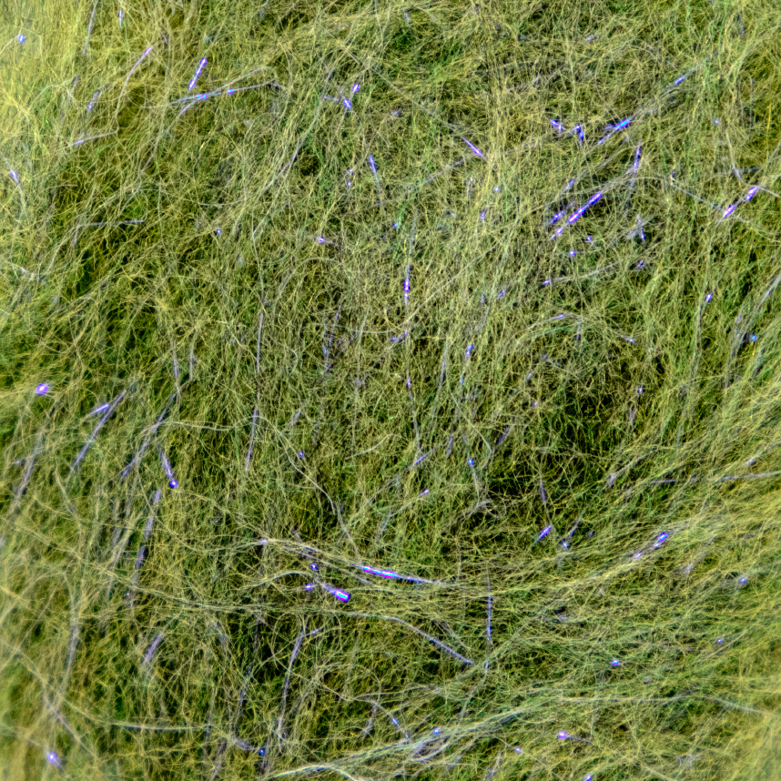 Natural-looking Senyo's Laser Dub - mimic real insect fur and fibers.