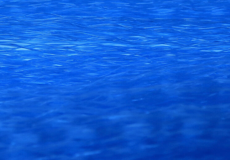 High-quality Unique Hair fly tying fibers, ideal for creating realistic fishing flies available for sale