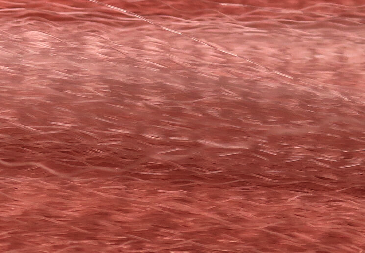 Soft and supple Unique Hair strands in natural colors for effective fly patterns