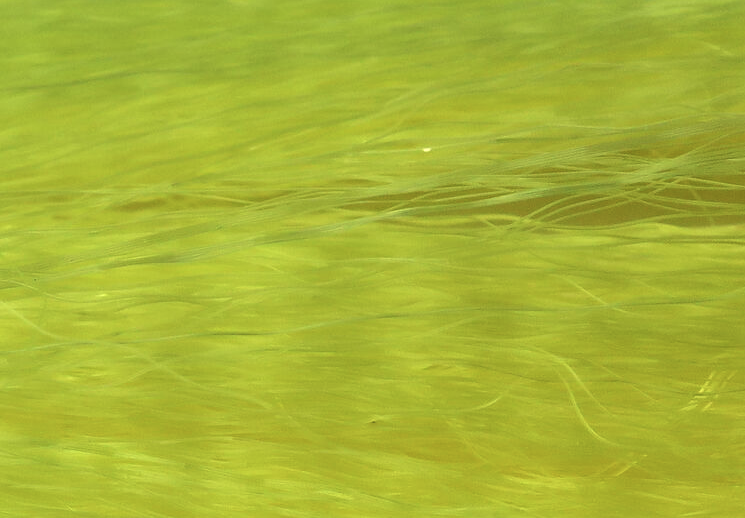 Unique Hair for fly tying, combining innovation with traditional fly fishing techniques