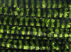 Hareline Variegated Chenille Fly Tying Material Is The Perfect Way To Add A Mottled Look To Fly Bodies When Fly Tying Trout Flie