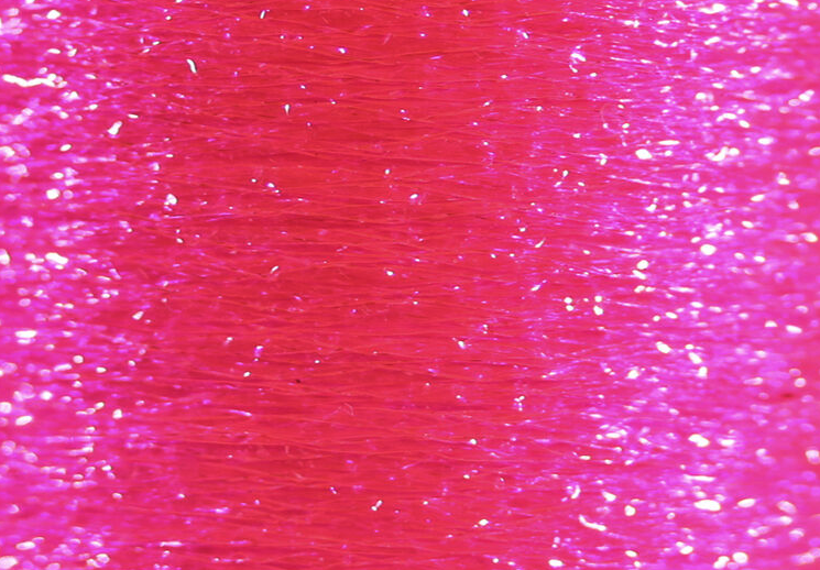 Veevus Body Quill in fluorescent hot pink, a unique choice for tying distinctive and effective fishing flies