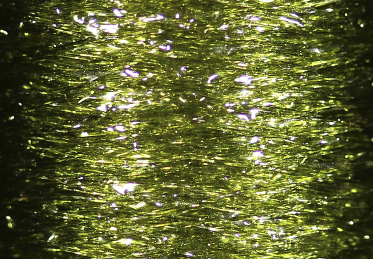 Veevus Body Quill in olive - a classic choice for imitating natural insect bodies in fly fishing