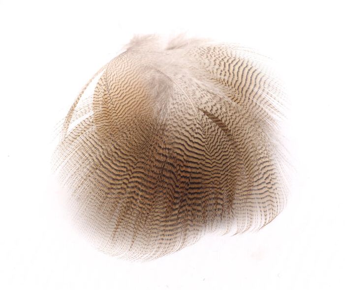 Fly tying feathers Hareline Woodduck Flank Feathers Lemon