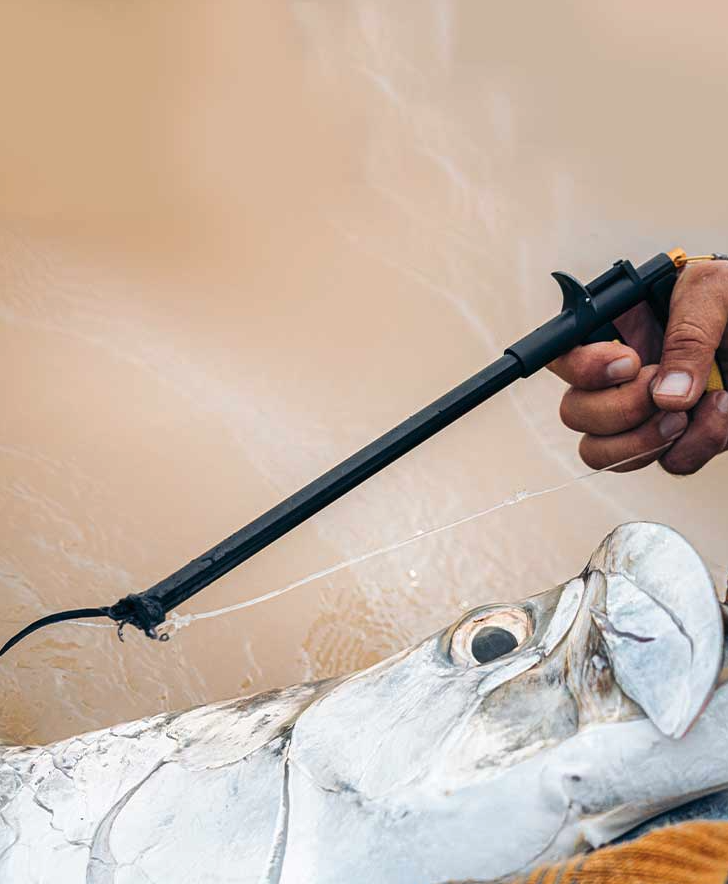 Buy Loon Apex Hook Remover