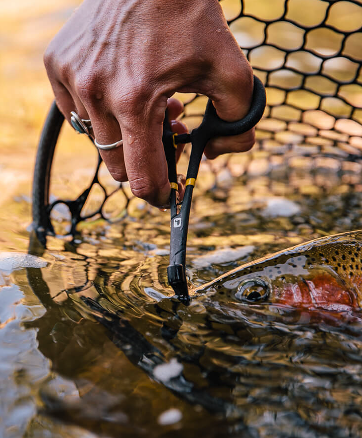 Loon Rogue Hook Removal Forceps For Sale Online Rainbow Trout