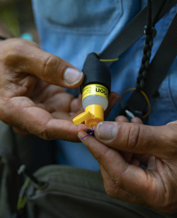 Loon Silicone Caddy Small Floatant