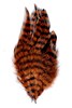 Top-quality barred schlappen by Montana Fly Company, essential for realistic fly patterns