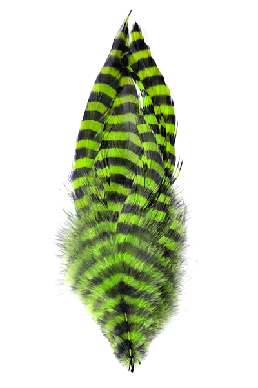 Durable and vibrant Montana Fly Company Barred Schlappen, ideal for fly tying enthusiasts