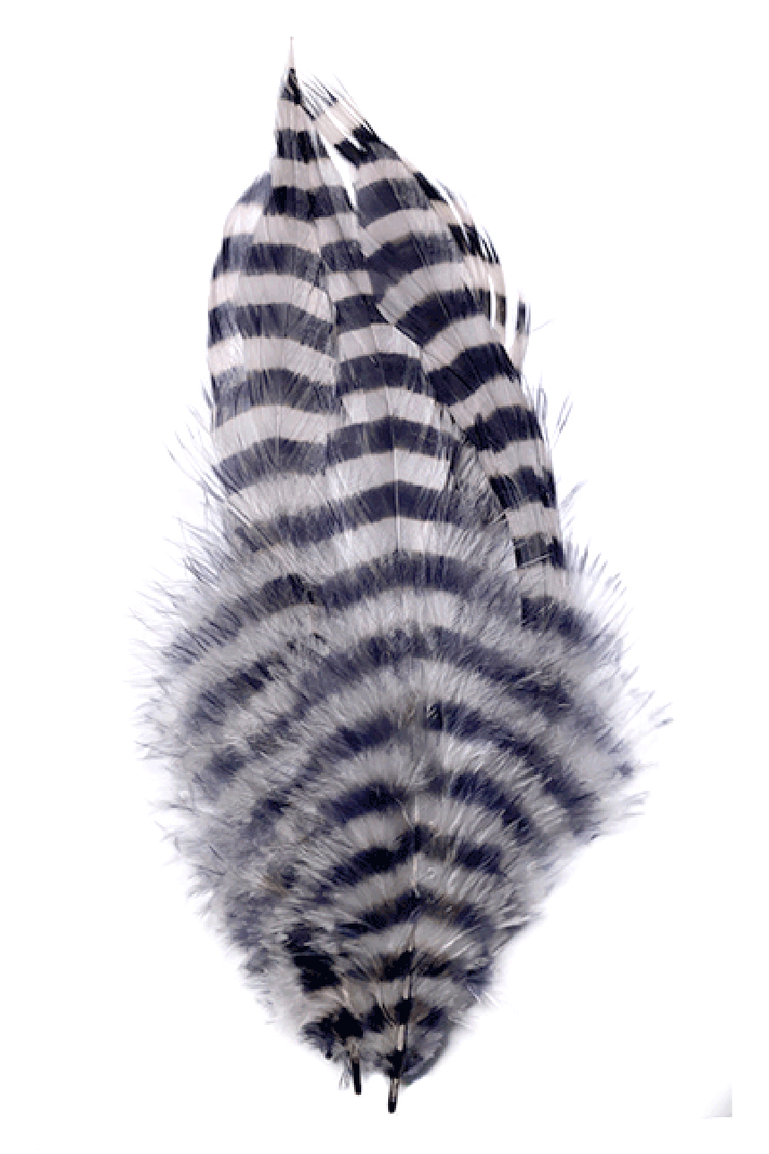 Best-in-market Montana Fly Company Barred Schlappen for professional-grade fly tying