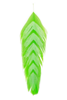 Buy MFC schlappen fly tying feathers.