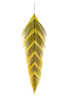 Best feathers for fly tying streamers and pike flies.