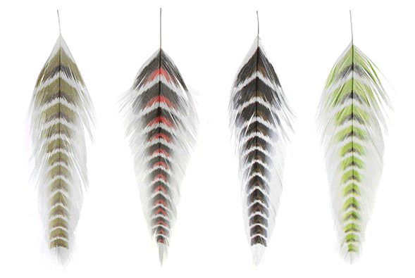Order MFC Galloup's Fish Feathers Grizzled in stock at The Fly Fishers.