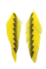 Buy the best fly fishing feathers for fly tying at The Fly Fishers.