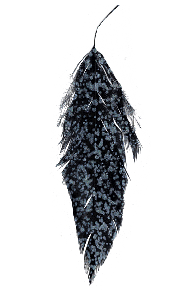 Shop MFC fly tying materials online.