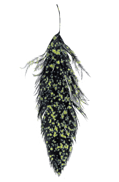 Best schlappen fly tying material.