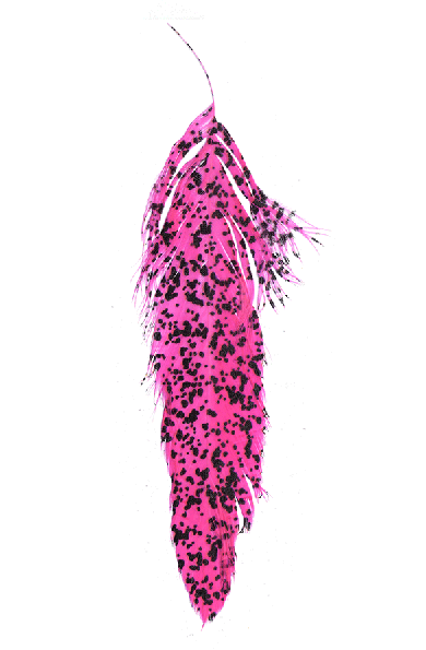 Saltwater fly tying feathers for sale.