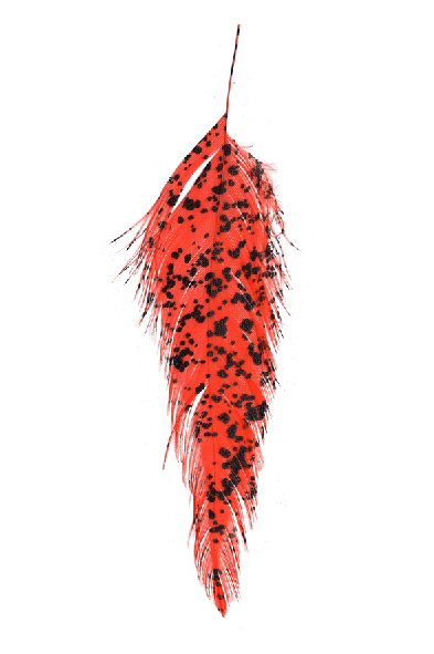 Purchase MFC Mottled Schlappen online.