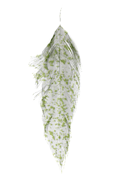 Order MFC fly tying materials best price.