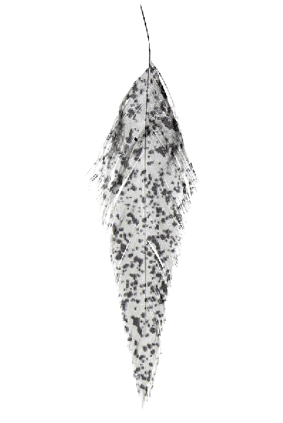 Montana Fly Company materials for sale online.