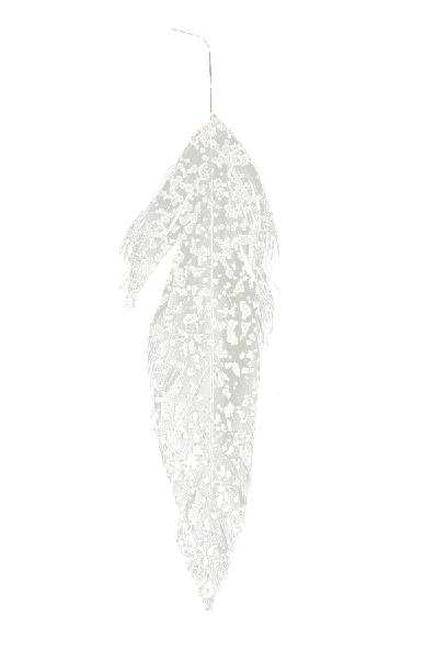 Best baitfish streamer fly feathers.