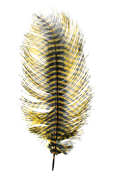 MFC Barred Ostrich Plume Yellow Black color