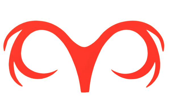 Musky fly tying materials.