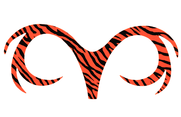 Fly tying muskie fly materials.