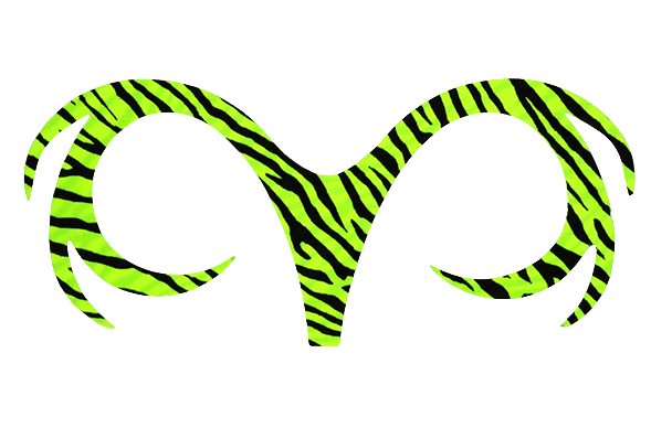 Fly tying materials for big flies.