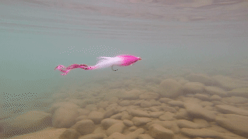 Buy  Pacchiarini's Double Dragon Tails online for the best musky fly tying materials.