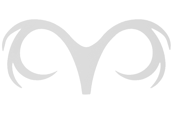 Pike fly fishing gear and fly tying.