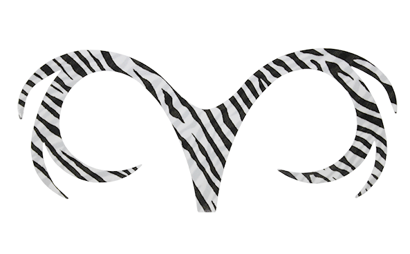 Musky fly fishing gear and fly tying.