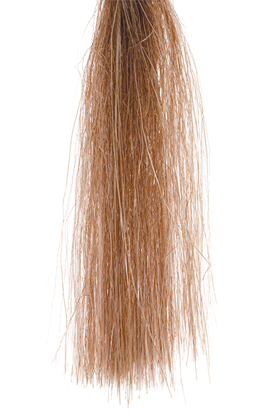 Hank of Senyo's Shadow Fiber colored brown