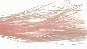 Gif of  Senyo's Shadow Fiber moving