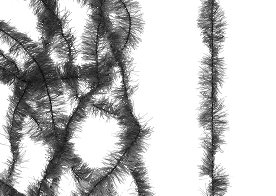 Best fly tying materials.