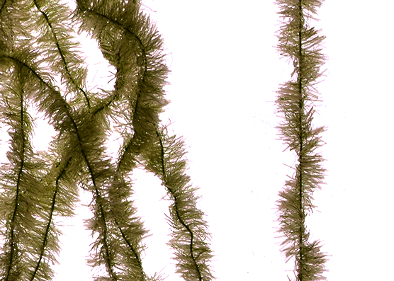 Newest fly tying materials.