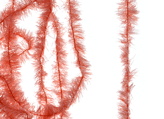 Greg Senyo fly tying.