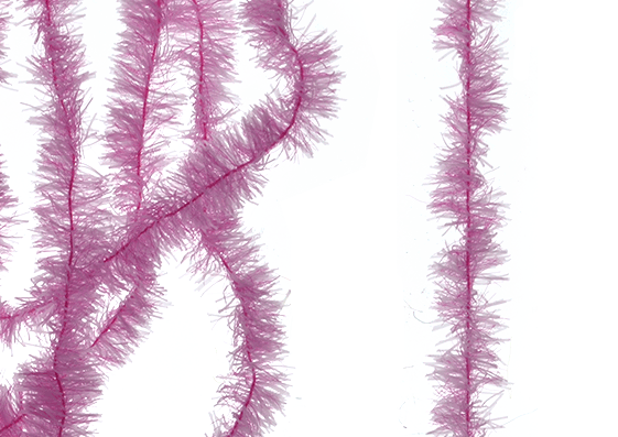 Greg Senyo fly fishing.